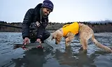 Thumbnail 14 of RUFFWEAR Float Coat Dog Life Jacket - Wave Orange