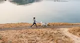 Thumbnail 15 of RUFFWEAR Front Range Dog Harness - Moonlight Mountains
