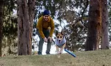 Thumbnail 7 of RUFFWEAR Gnawt-a-Stick - Lichen Green