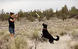 Thumbnail 9 of RUFFWEAR Gnawt-a-Stick - Lichen Green