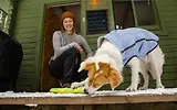 Thumbnail 8 of RUFFWEAR Gnawt-a-Stick - Lichen Green