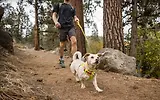 Thumbnail 9 of RUFFWEAR Hi & Light Lightweight Dog Harness - Basalt Grey