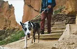 Thumbnail 9 of RUFFWEAR Knot-a-Leash Rope Dog Lead (Large) - Obsidian Black
