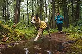 Thumbnail 16 of RUFFWEAR Sun Shower Dog Raincoat - Midnight Blue