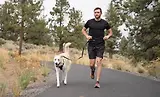 Thumbnail 12 of RUFFWEAR Switchbak Double-Ended Dog Lead - Basalt Grey