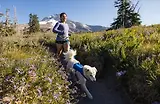 Thumbnail 8 of RUFFWEAR Trail Runner Running Belt (Small/Medium) Blue Pool