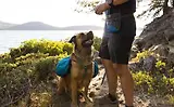 Thumbnail 8 of RUFFWEAR Treat Trader Dog Treat Pouch - Blue Pool