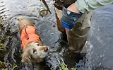 Thumbnail 9 of RUFFWEAR Treat Trader Dog Treat Pouch - Blue Pool