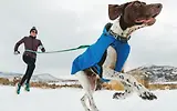 Thumbnail 10 of RUFFWEAR Vert™ Dog Jacket - Mineral Yellow