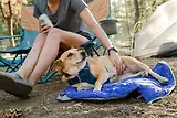 Thumbnail 3 of RUFFWEAR Highlands Dog Sleeping Bag - Huckleberry Blue