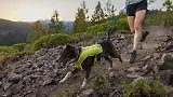 Thumbnail 6 of RUFFWEAR Trail Runner Dog Lead - Blue Pool