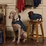Thumbnail 7 of Joules Packaway Dog Jacket - Blackwatch Check