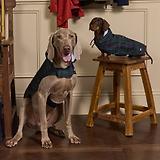 Thumbnail 9 of Joules Packaway Dog Jacket - Blackwatch Check