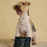 Thumbnail 11 of Joules Packaway Dog Jacket - Blackwatch Check