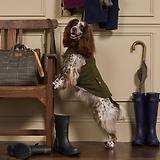 Thumbnail 10 of Joules Fairbourne Fleece Dog Jacket - Khaki