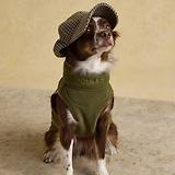 Thumbnail 12 of Joules Fairbourne Fleece Dog Jacket - Khaki