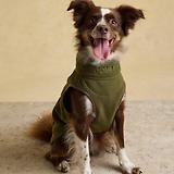 Thumbnail 2 of Joules Fairbourne Fleece Dog Jacket - Khaki