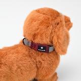 Thumbnail 2 of Snow Peak Soft Dog Collar