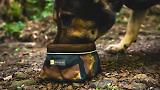 Thumbnail 2 of RUFFWEAR Quencher Packable Dog Bowl - Moonlight Mountains (Medium)