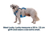 Thumbnail 14 of RUFFWEAR Flagline Dog Harness - Basalt Grey