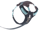 Thumbnail 4 of RUFFWEAR Hi & Light Lightweight Dog Harness - Basalt Grey