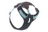 Thumbnail 3 of RUFFWEAR Hi & Light Lightweight Dog Harness - Basalt Grey