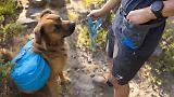 Thumbnail 6 of RUFFWEAR Treat Trader Dog Treat Pouch - Blue Pool