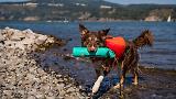 Thumbnail 4 of RUFFWEAR Lunker Floating Throw Toy - Campfire Orange