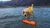 Thumbnail 5 of RUFFWEAR Lunker Floating Throw Toy - Campfire Orange