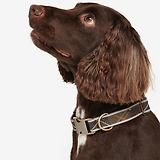 Thumbnail 2 of Barbour Reflective Tartan Dog Collar - Classic Tartan