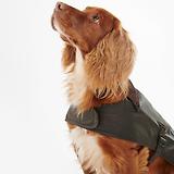 Thumbnail 5 of Barbour Wax Dog Coat - Olive