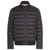 Thumbnail 1 of Belstaff Men's Down Filled Nylon Circuit Jacket - Black