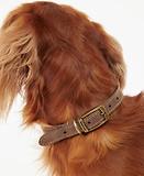 Thumbnail 4 of Barbour Leather Dog Collar - Brown
