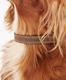 Thumbnail 5 of Barbour Leather Dog Collar - Brown