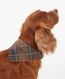 Thumbnail 4 of Barbour Tartan Dog Bandana - Classic Tartan