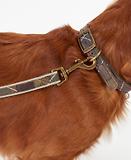 Thumbnail 4 of Barbour Reflective Tartan Dog Lead - Classic Tartan