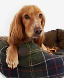 Thumbnail 7 of Barbour 30in Luxury Dog Bed - Classic Tartan