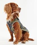 Thumbnail 2 of Barbour Tartan Waterproof Dog Coat - Classic Tartan