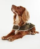 Thumbnail 6 of Barbour Waterproof Dog Coat - Olive