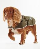 Thumbnail 4 of Barbour Waterproof Dog Coat - Olive