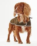 Thumbnail 7 of Barbour Waterproof Dog Coat - Olive