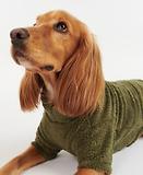 Thumbnail 4 of Barbour Teddy Dog Fleece - Olive
