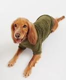 Thumbnail 6 of Barbour Teddy Dog Fleece - Olive