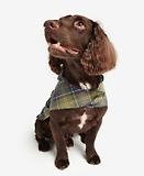 Thumbnail 4 of Barbour Packable Tartan Dog Coat - Classic Tartan