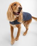Thumbnail 2 of Barbour Denim Drywax Dog Coat - Indigo