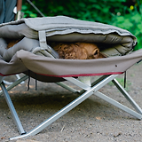 Thumbnail 6 of Snow Peak Dog Ofuton Sleeping Bag