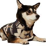 Thumbnail 3 of Ariat Team Softshell Dog Jacket - Thornstone Print