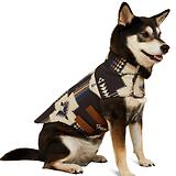 Thumbnail 1 of Ariat Team Softshell Dog Jacket - Thornstone Print