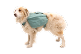 Thumbnail 6 of RUFFWEAR Front Range Day Pack - River Rock Green