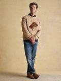 Thumbnail 4 of Joules Men's Irish Dog Crew Neck Jumper - Beige